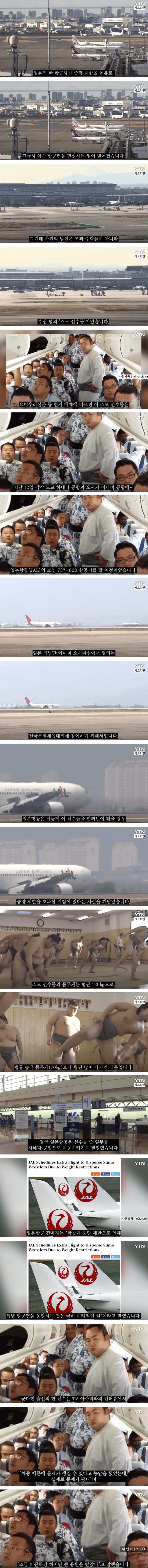 스모 선수들의 항공기 단체 탑승