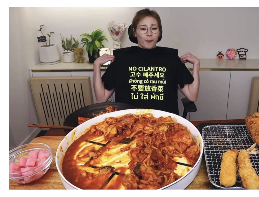 먹방 유튜버가 여행갈때 입는다는 옷.JPG