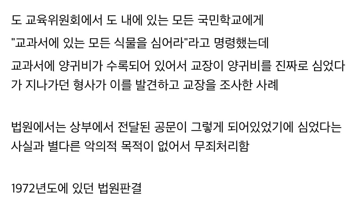 싱글벙글 양귀비 심고 무죄받기...jpg