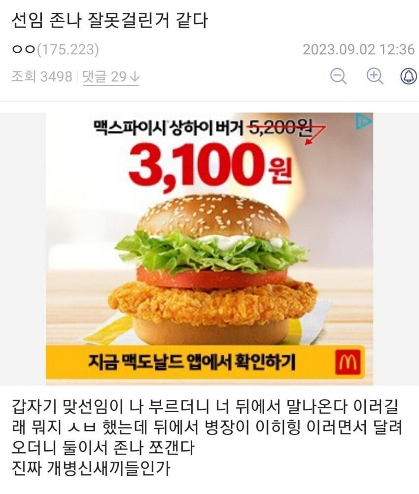 야 너 뒤에서 말 나온다