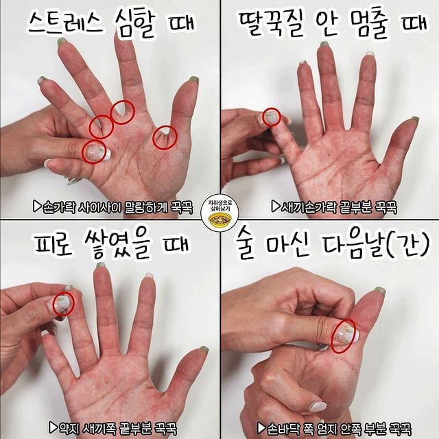 바로 할 수 있는 아픈 증상별 손 지압점.jpg