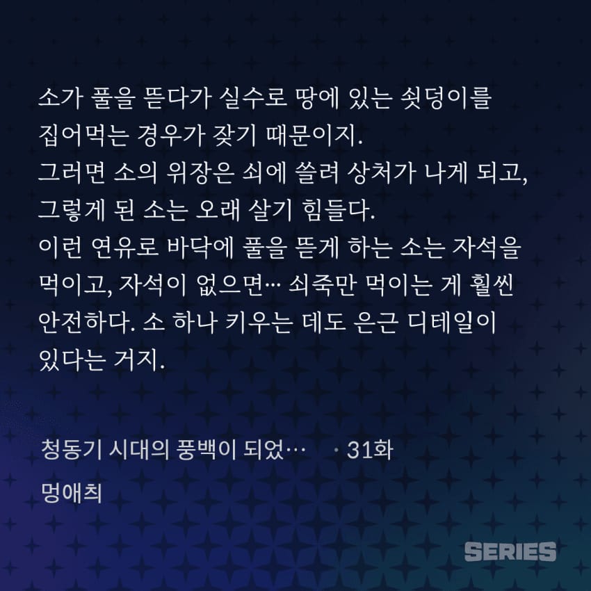 소한테 자석 먹이는거 알고있음?