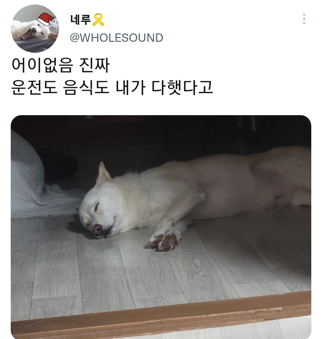 명절을 보내고 주인보다 더 피곤해하는 반려동물들.jpg