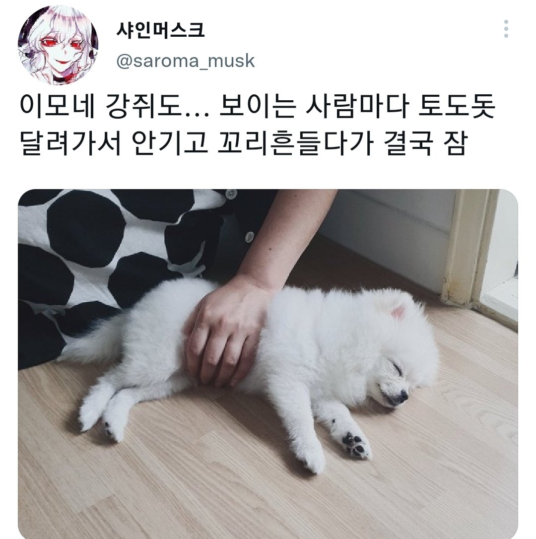명절을 보내고 주인보다 더 피곤해하는 반려동물들.jpg