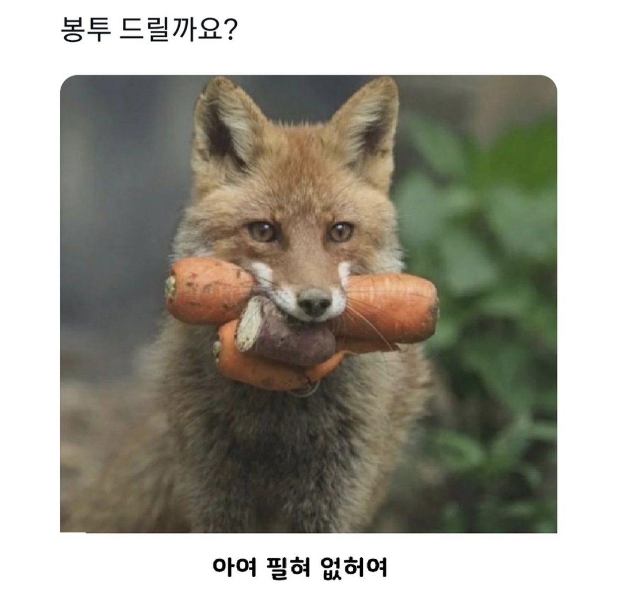 봉투 드릴까요?.jpg