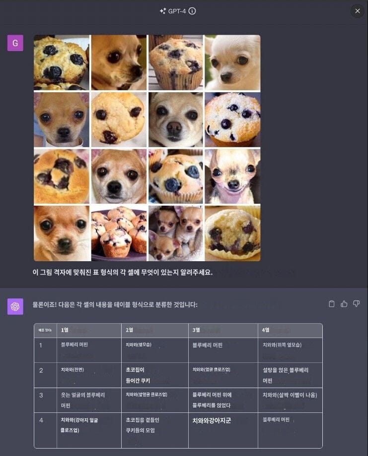 AI쉑 ㅋㅋ 치와와랑 머핀도 구분 못하면서 ㅋㅋ