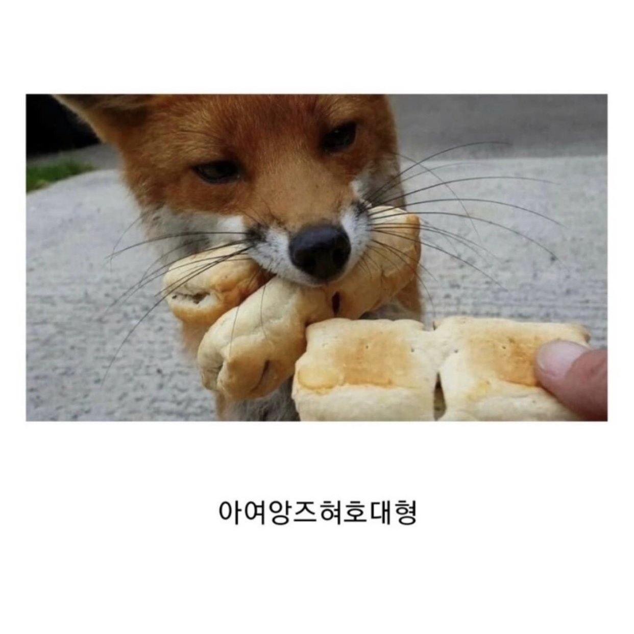 봉투 드릴까요?.jpg