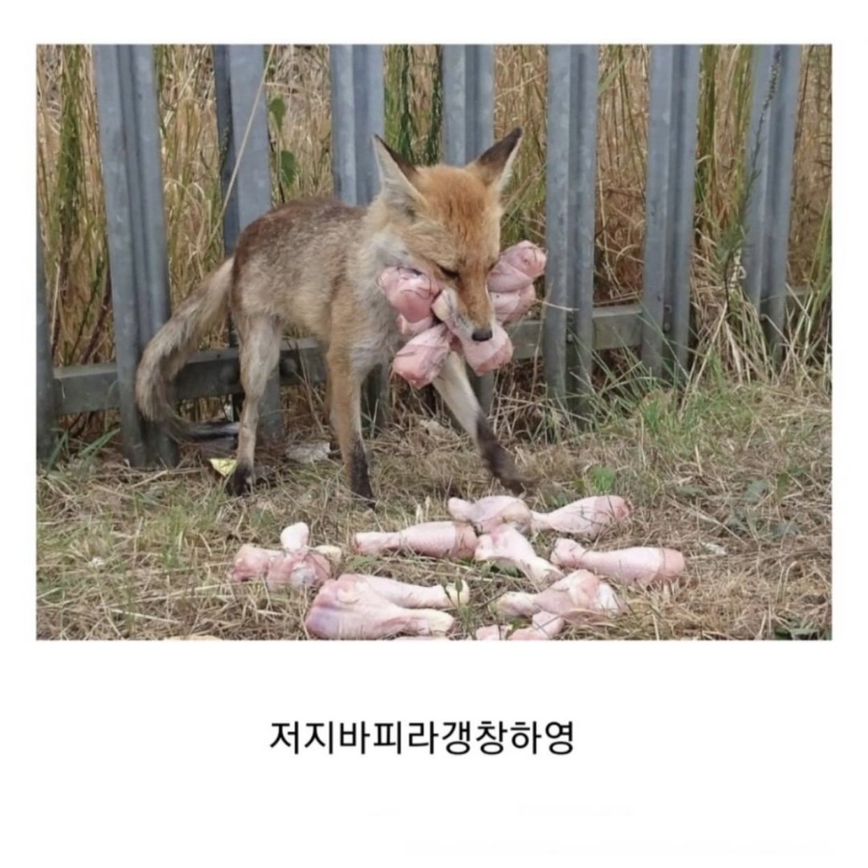 봉투 드릴까요?.jpg