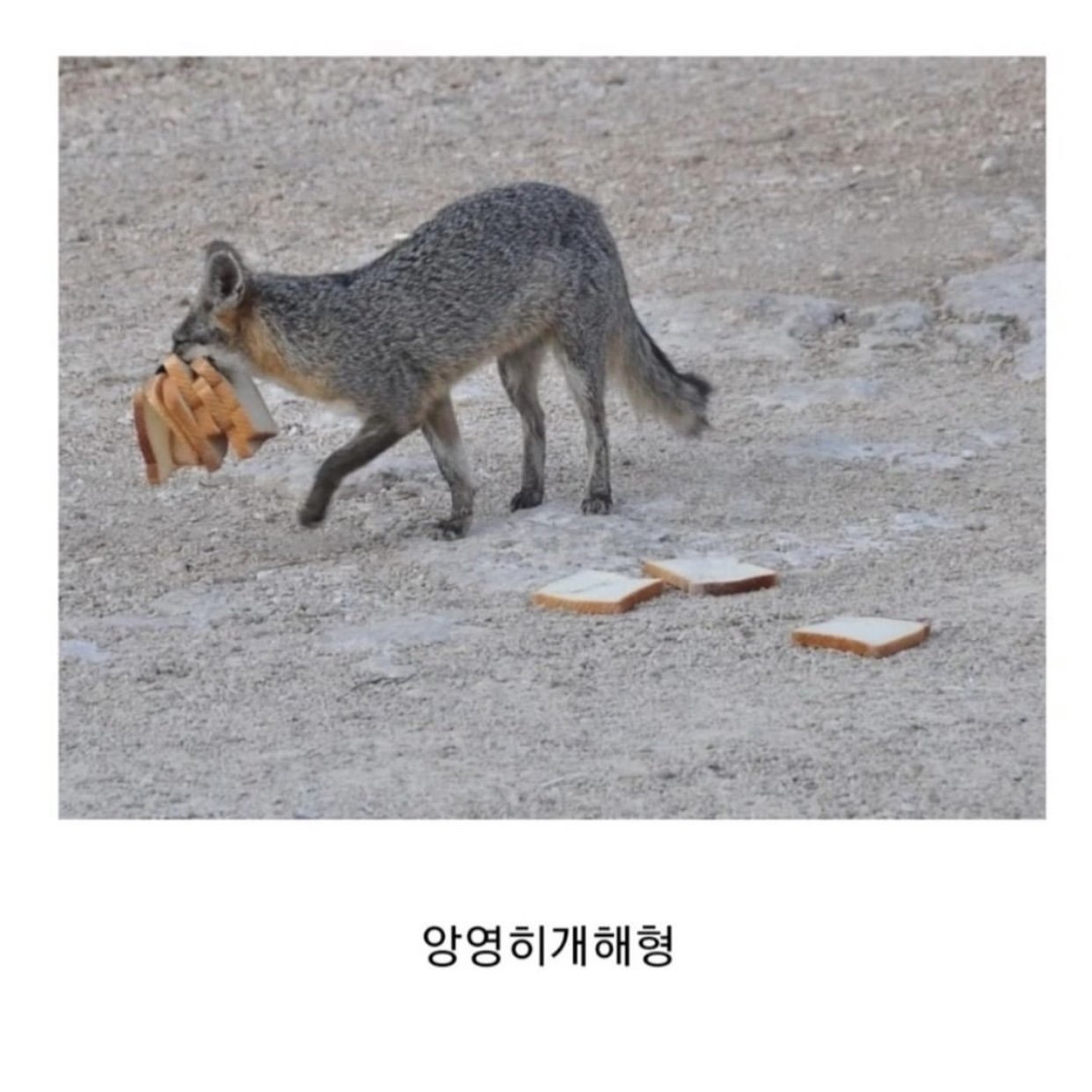 봉투 드릴까요?.jpg