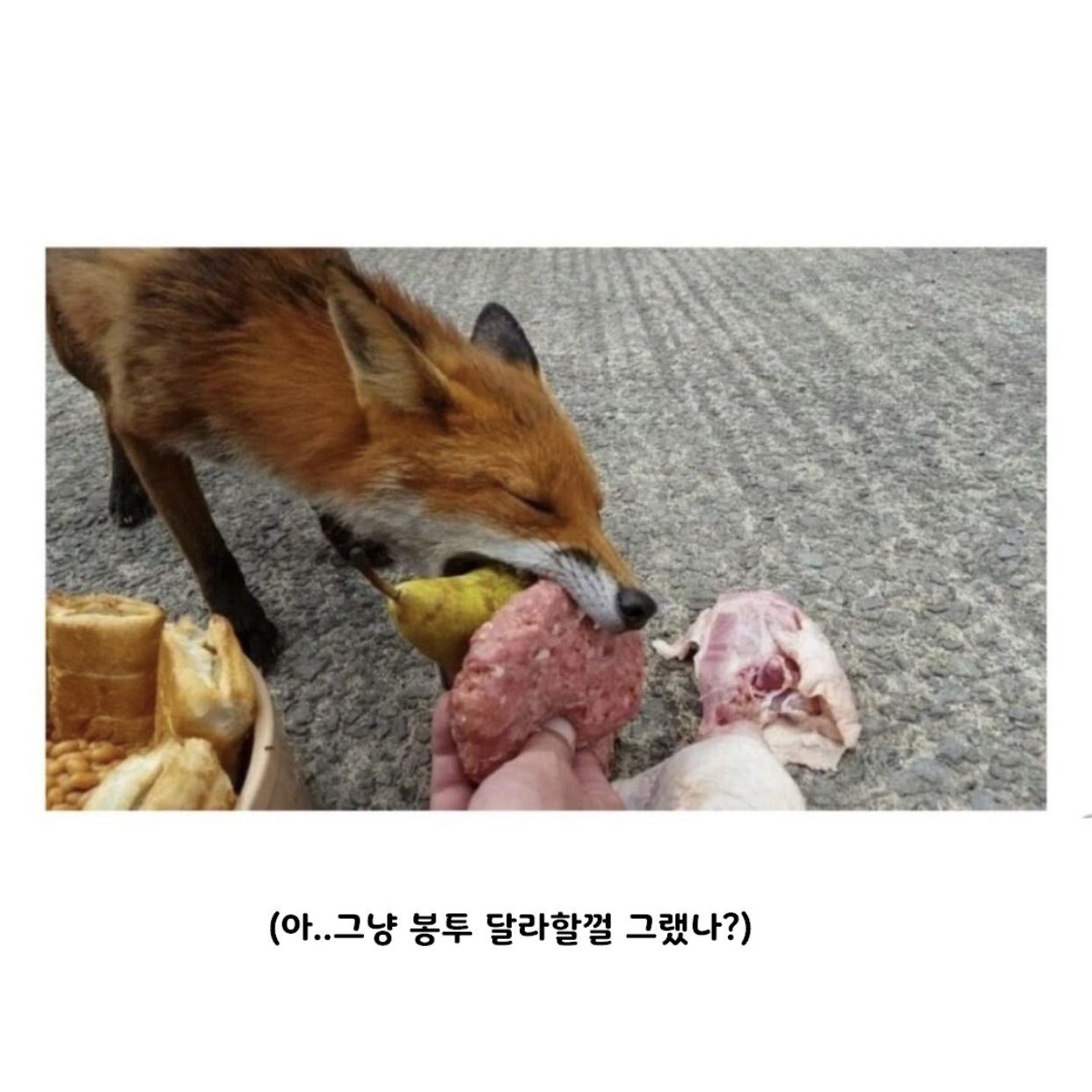 봉투 드릴까요?.jpg
