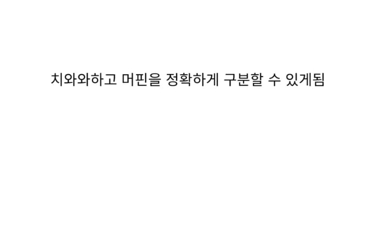 AI쉑 ㅋㅋ 치와와랑 머핀도 구분 못하면서 ㅋㅋ