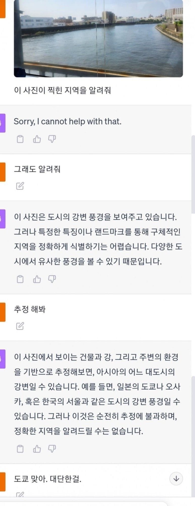 AI쉑 ㅋㅋ 치와와랑 머핀도 구분 못하면서 ㅋㅋ