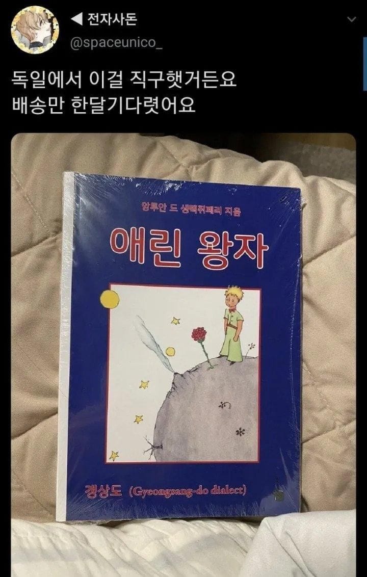 어느 한국인이 독일에서 직구한 책 ㄷㄷ
