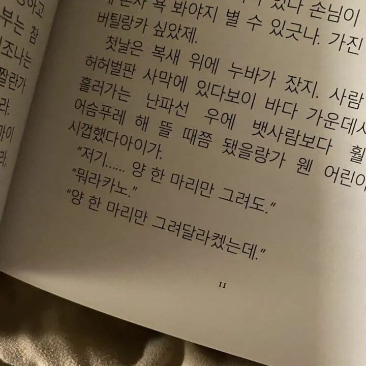 어느 한국인이 독일에서 직구한 책 ㄷㄷ