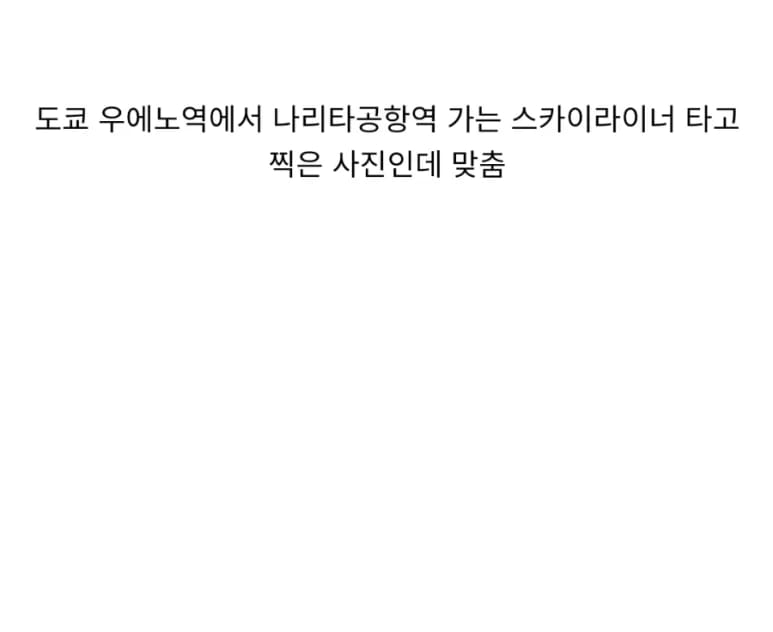 AI쉑 ㅋㅋ 치와와랑 머핀도 구분 못하면서 ㅋㅋ