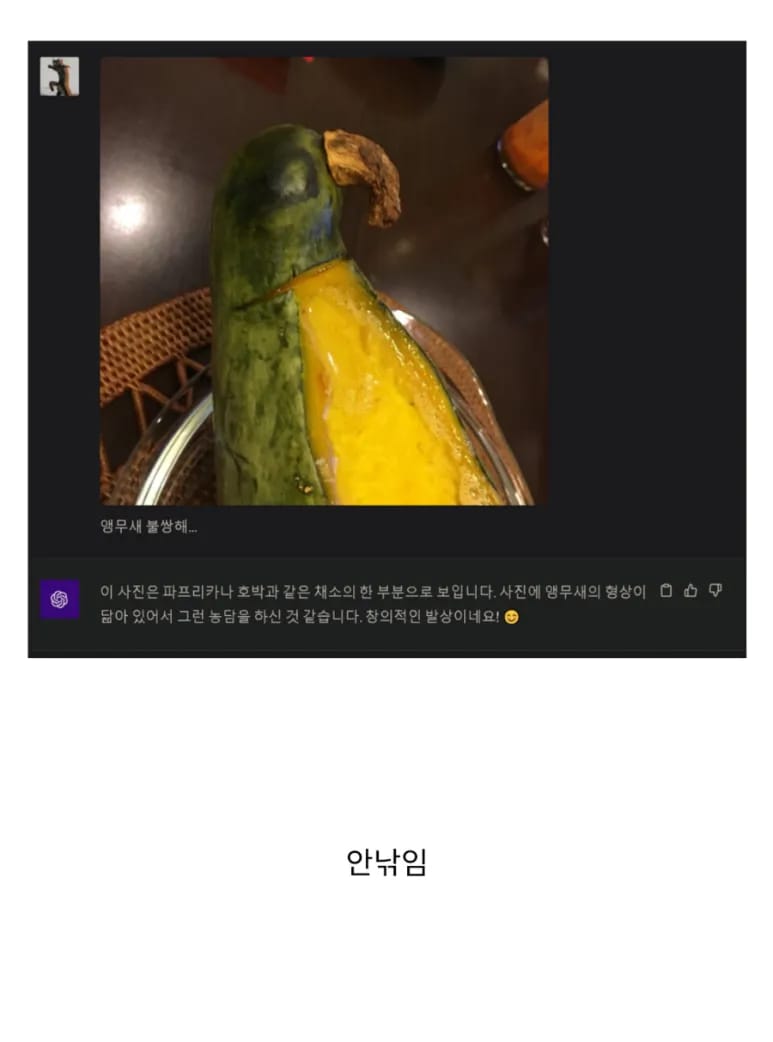 AI쉑 ㅋㅋ 치와와랑 머핀도 구분 못하면서 ㅋㅋ