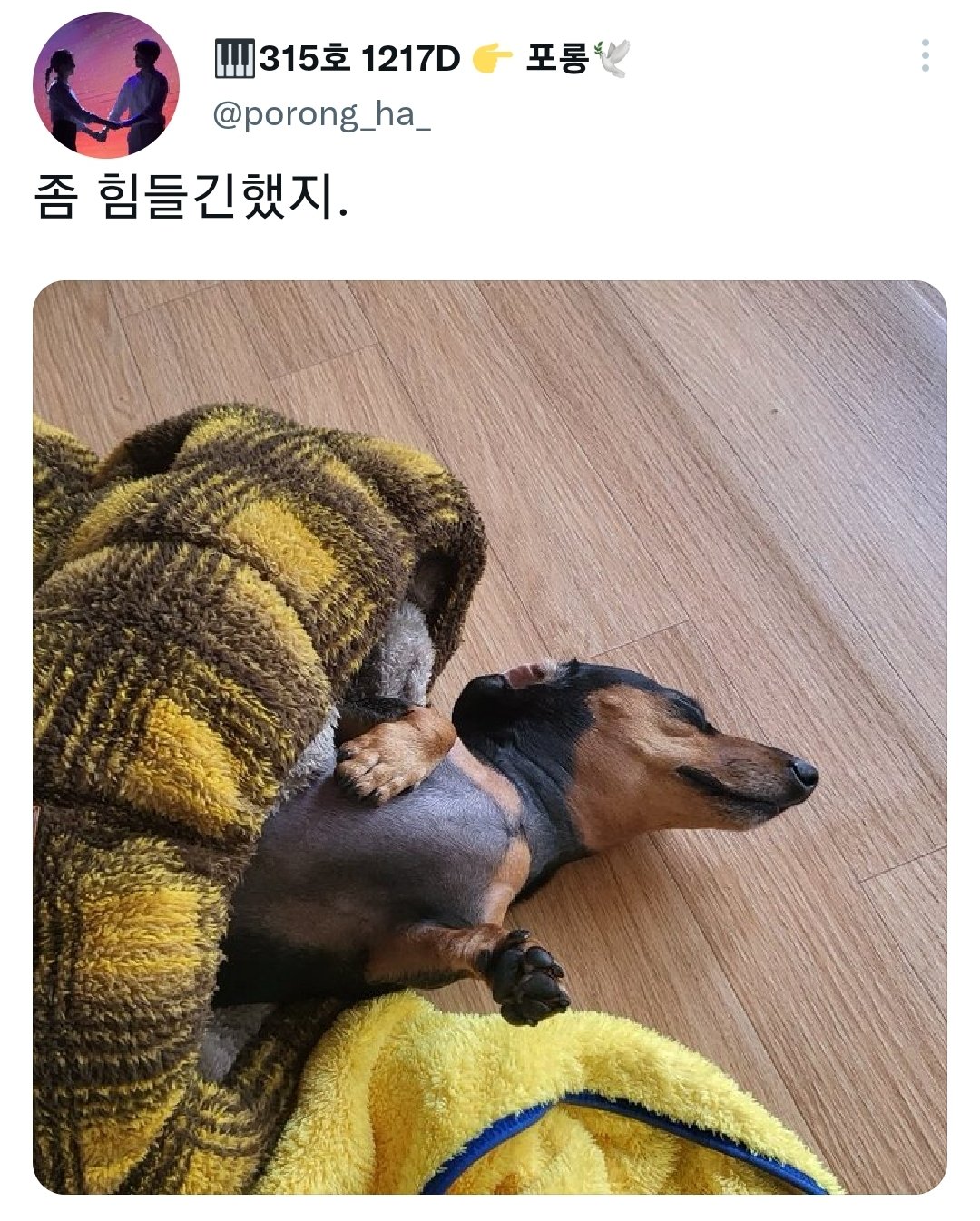 명절을 보내고 주인보다 더 피곤해하는 반려동물들.jpg