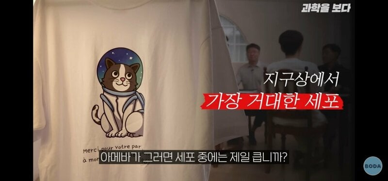 지구상에서 가장 거대한 세포.jpg
