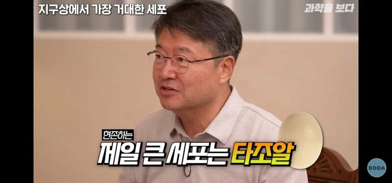 지구상에서 가장 거대한 세포.jpg
