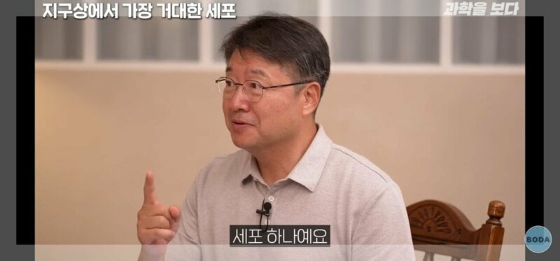 지구상에서 가장 거대한 세포.jpg