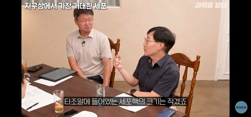 지구상에서 가장 거대한 세포.jpg