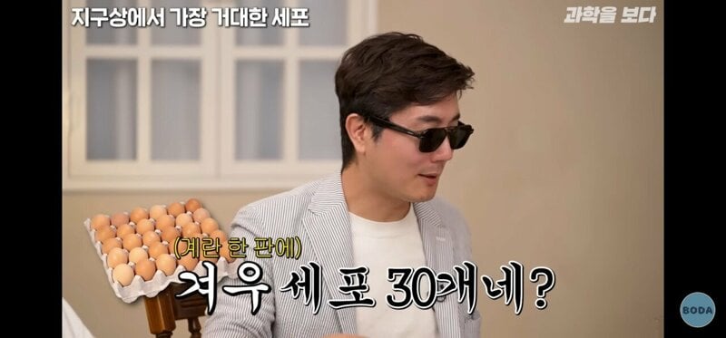 지구상에서 가장 거대한 세포.jpg