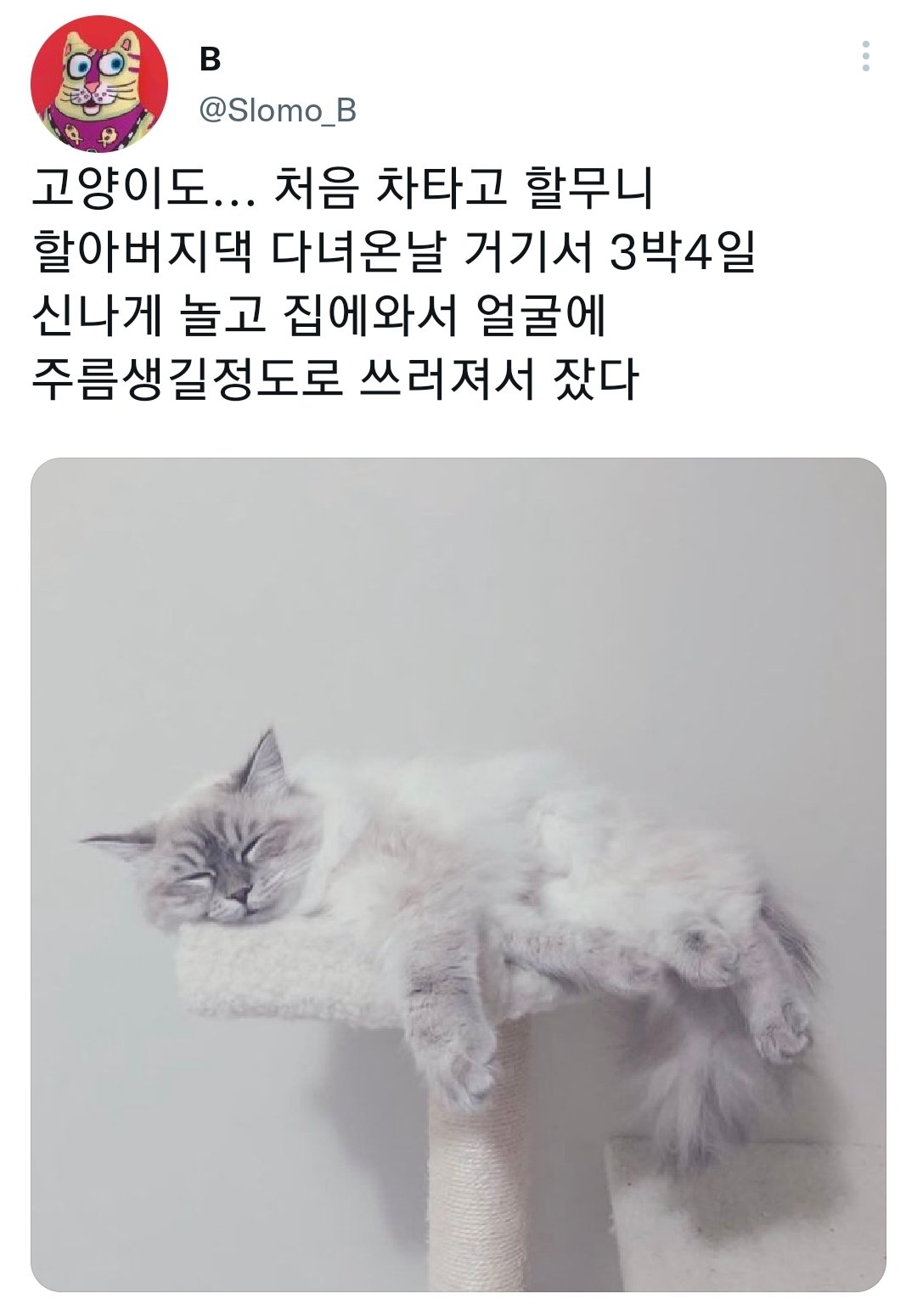 명절을 보내고 주인보다 더 피곤해하는 반려동물들.jpg