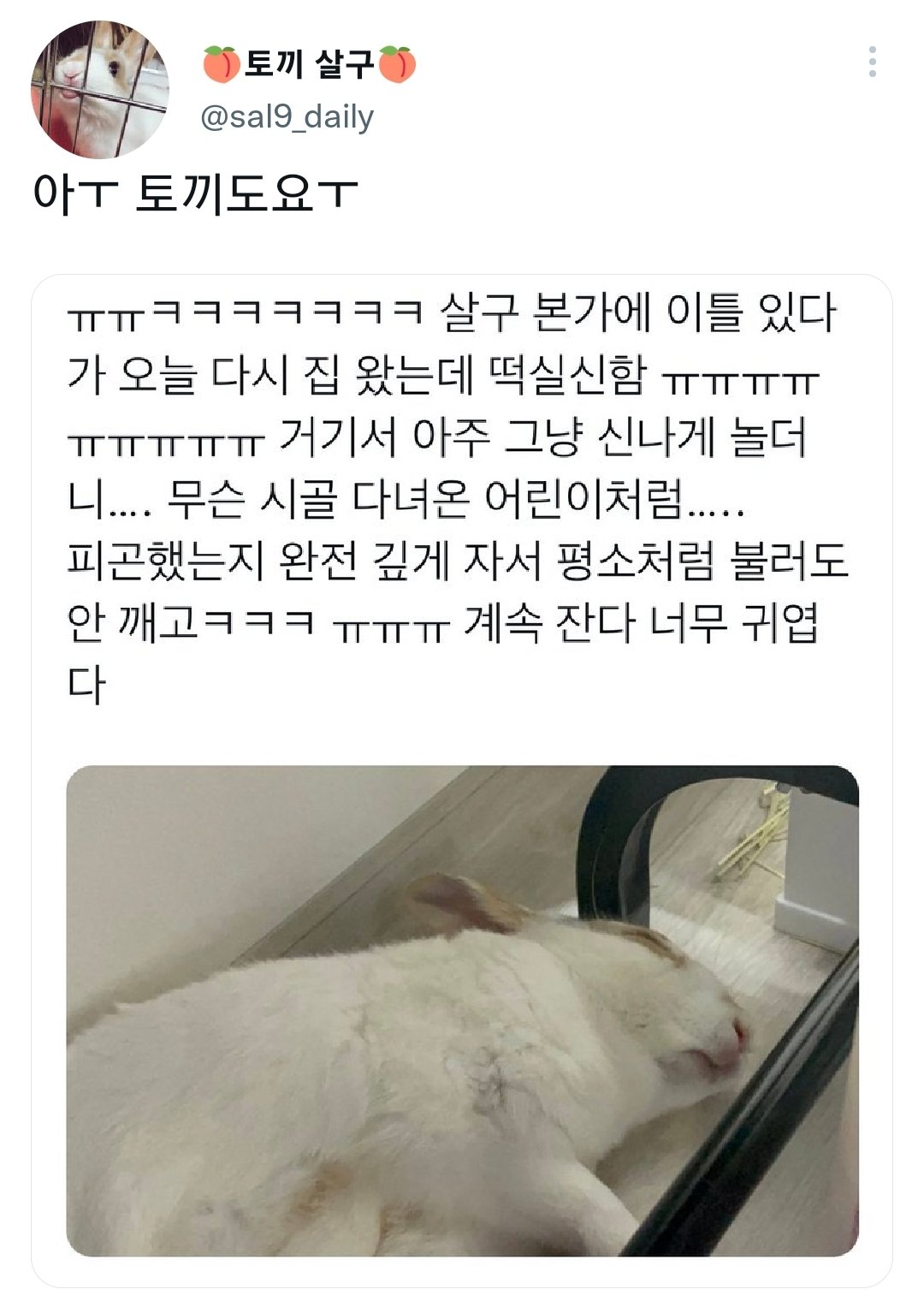 명절을 보내고 주인보다 더 피곤해하는 반려동물들.jpg