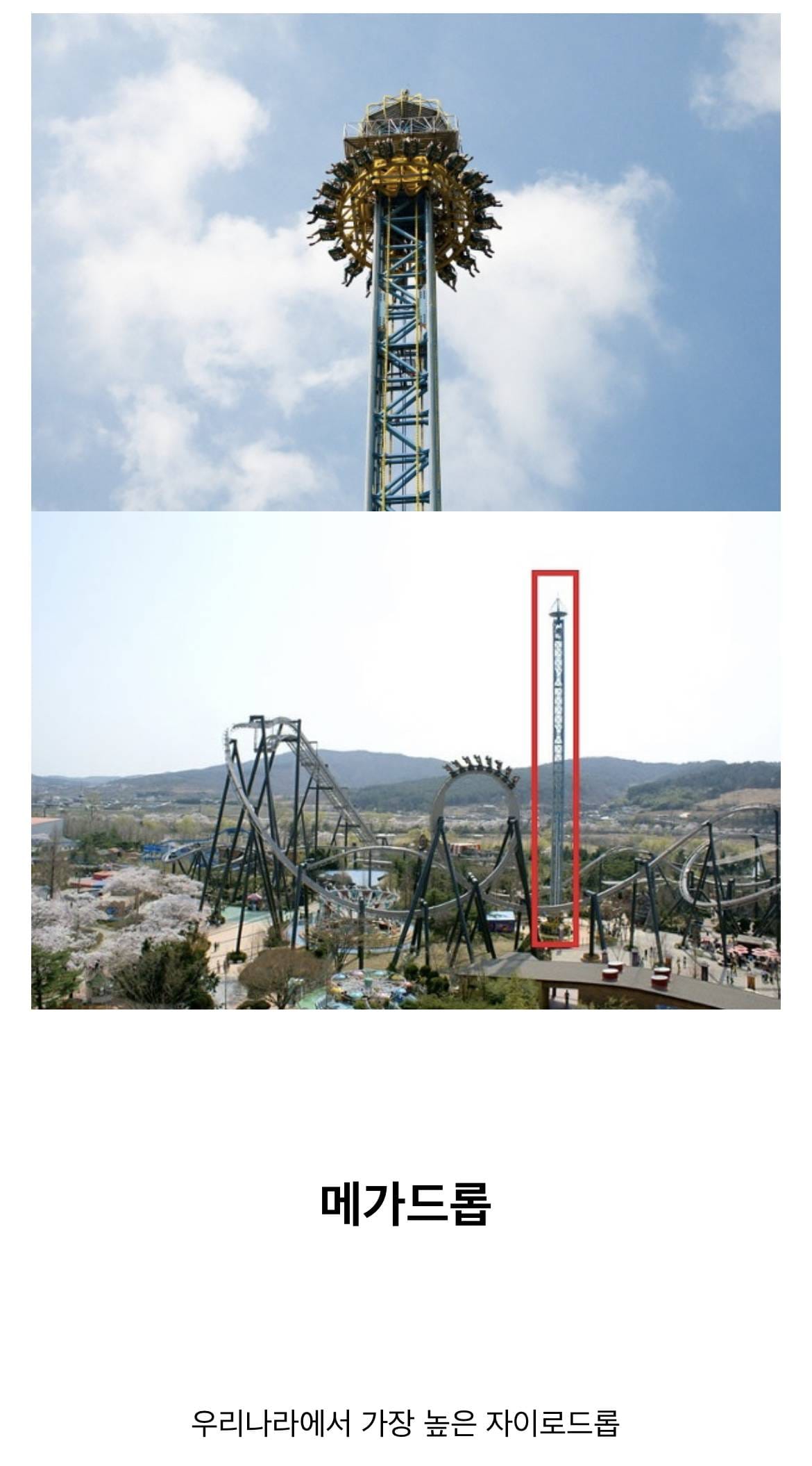 불리한 위치를 개무서운 놀이기구로 극복한 놀이공원