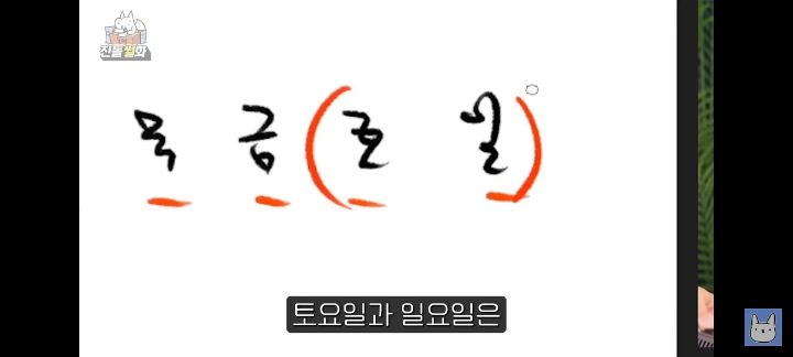 전직 에버랜드 알바생이 알려주는 사람이 제일없는 요일 (feat.아이유)