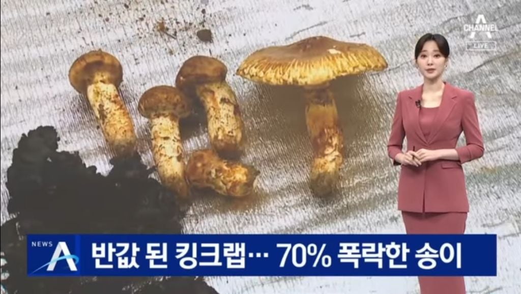 자연산 송이 110->33만원