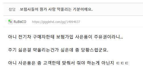 전기차 구매자에게 보험사가 준 사은품