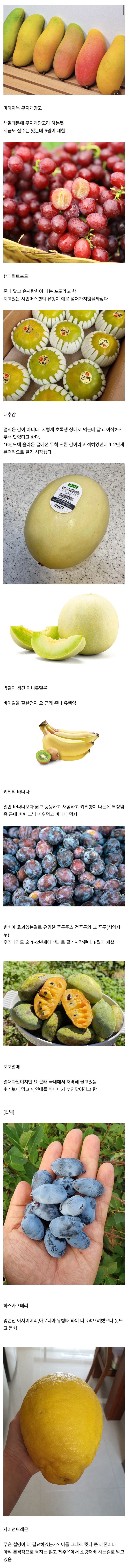 요 몇년간 새로나온 과일들.jpg