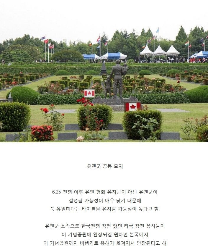 세계에 단 1개 밖에 없다는 묘지