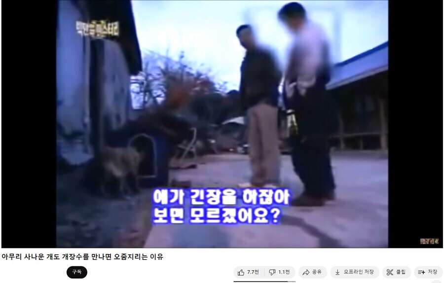 강형욱 방송보다가 답답하면 보러 간다는 영상.jpg