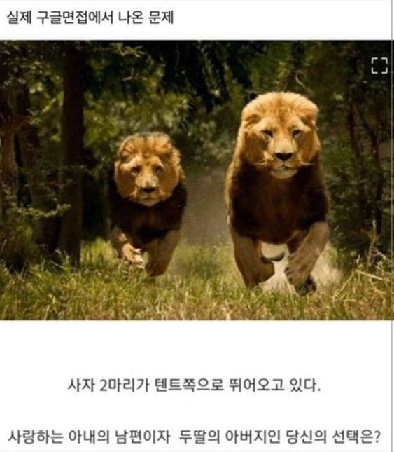 실제 구글 면접에서 나온 문제.jpg
