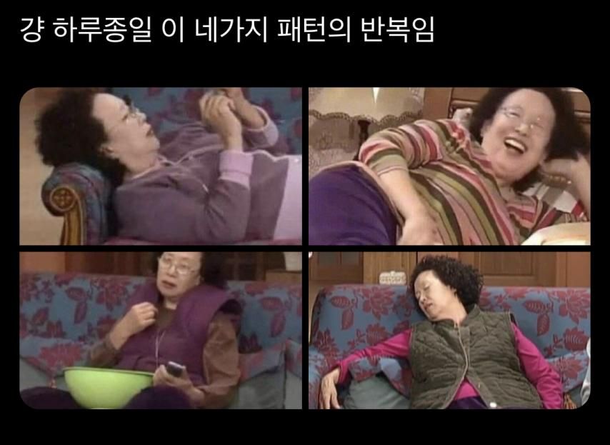 걍 연휴내내 이 네가지 패턴의 반복임