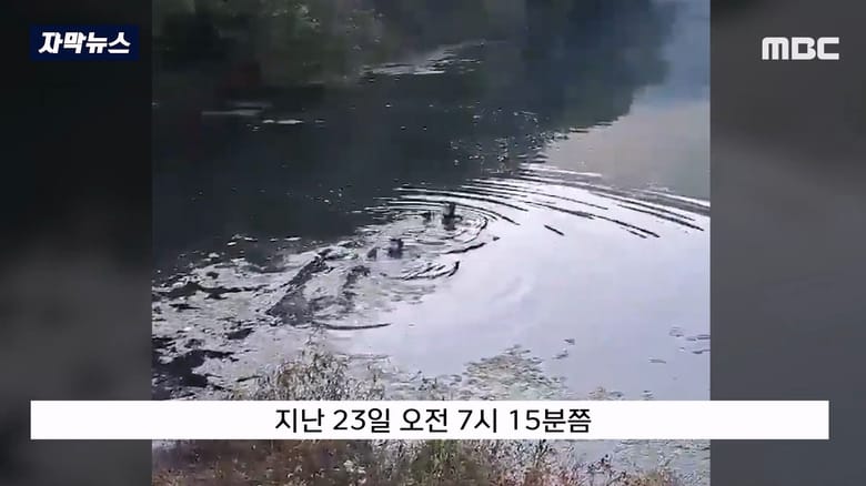 수심 5m 잠긴 차 안에서 1시간을 버틴 여성 구조
