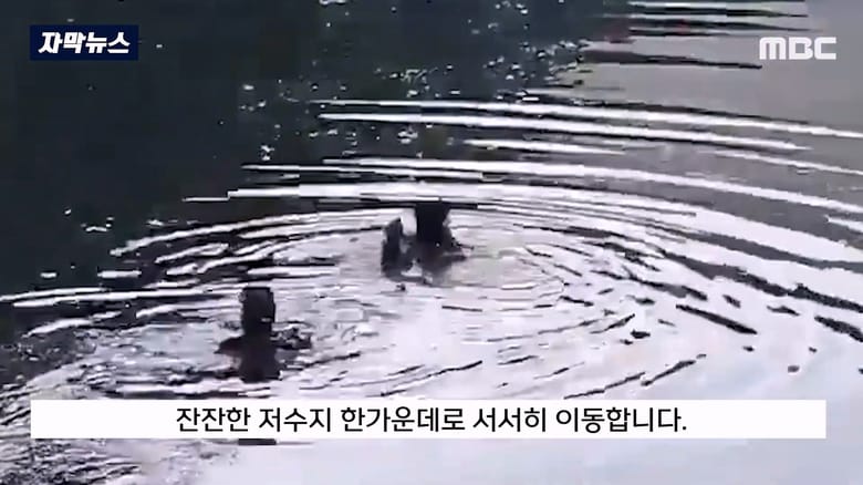수심 5m 잠긴 차 안에서 1시간을 버틴 여성 구조