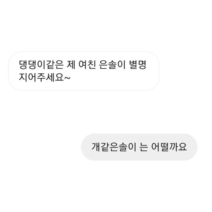 오늘의 키크니 작명소