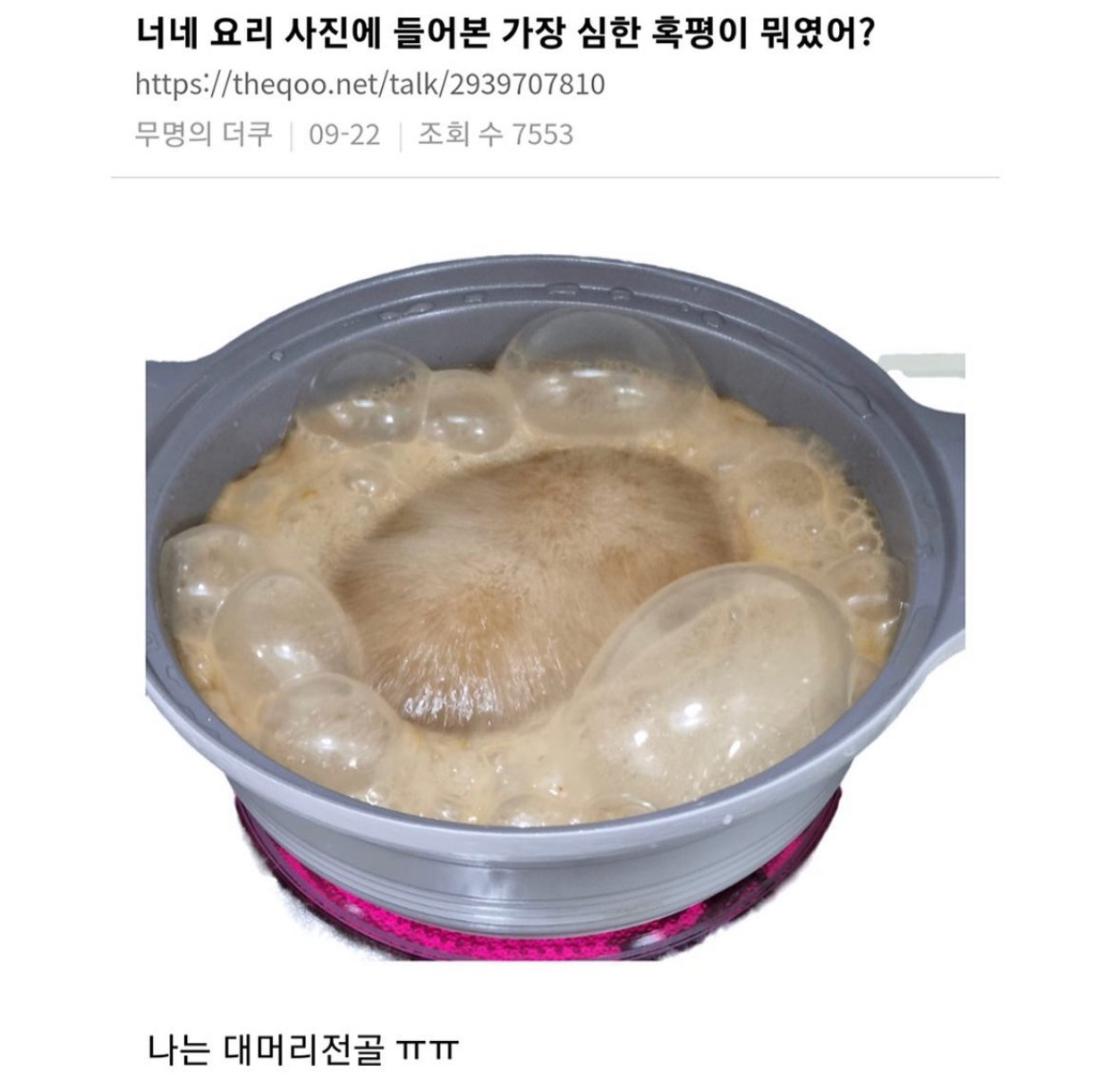 니네 요리 사진에 들어본 가장 심한 혹평이 뭐였어?