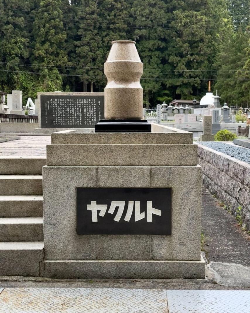 요즘 일본의 영험한 신사 근황.jpg