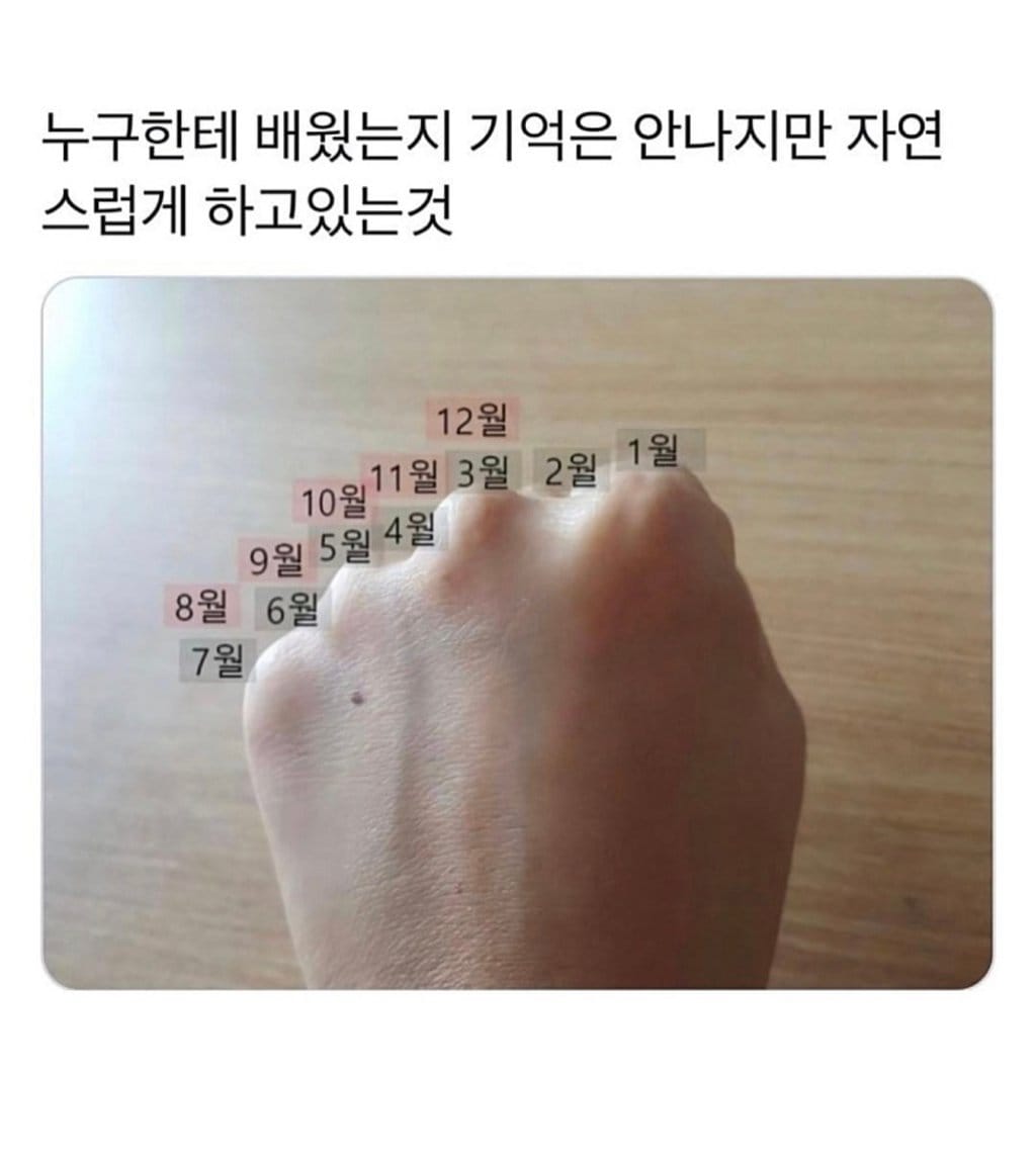 어릴때 배우고 아직도 유용하게 써먹는 것.JPG