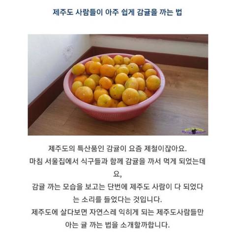 제주인이 알려주는 귤 까는 꿀팁