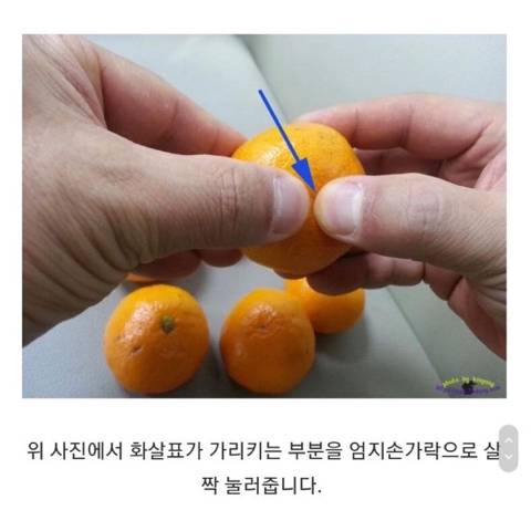 제주인이 알려주는 귤 까는 꿀팁