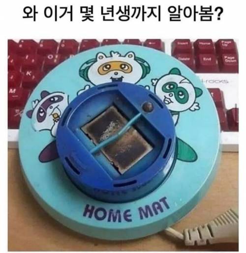 이거 몇년생까지 알아봄?