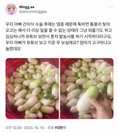 아버지가 키운 고구마같은 무