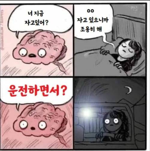 뇌 : 너 지금 자고있어?