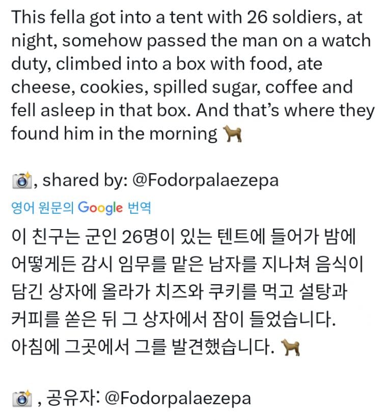 보급창고 털리는 우크라이나군 군기 수준