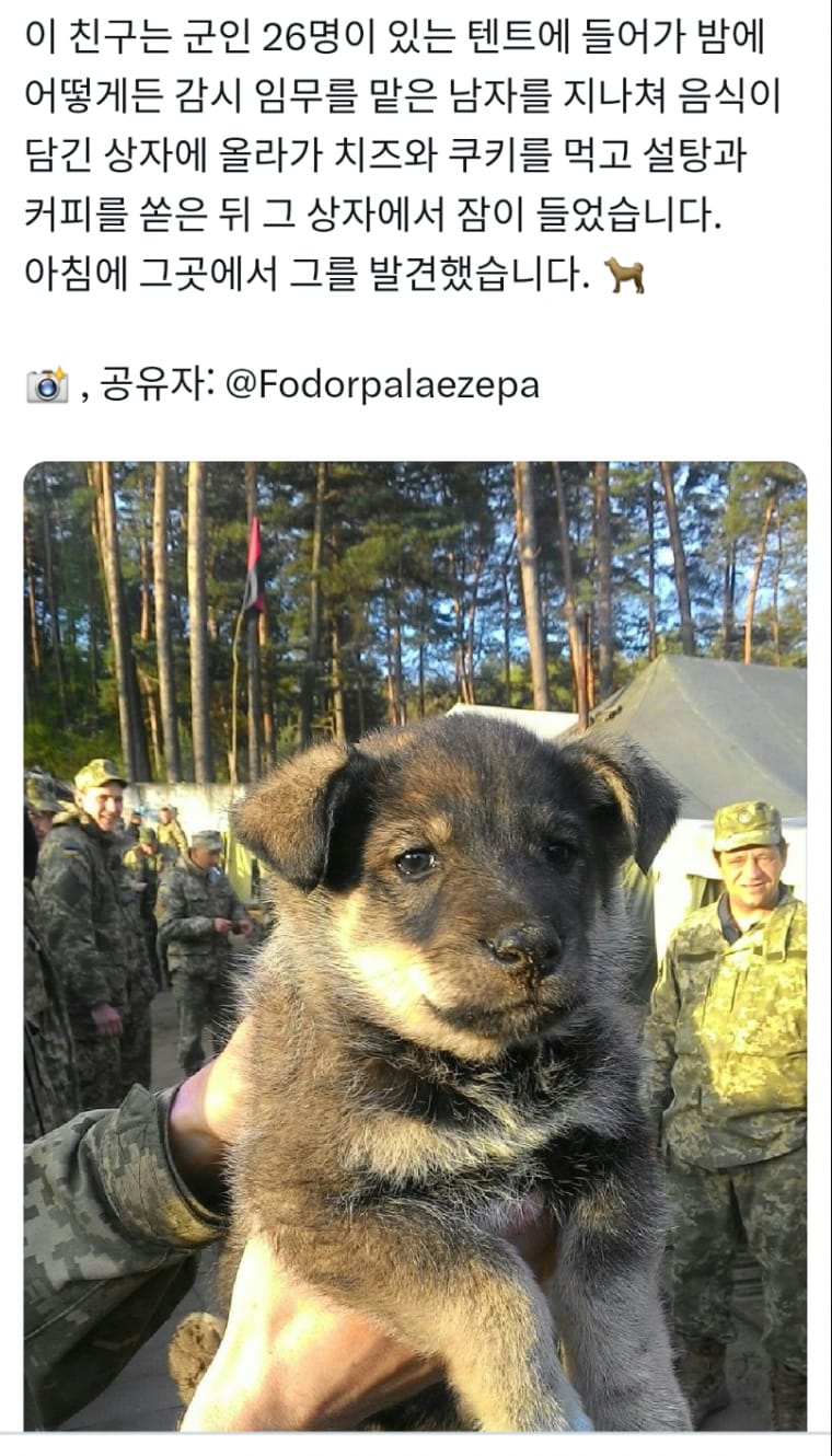 보급창고 털리는 우크라이나군 군기 수준